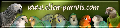 ellen-parrots.com
