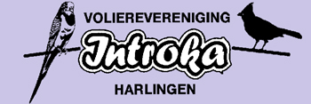 introka.nl