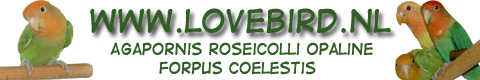 lovebird.nl