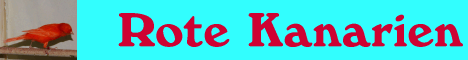 red-canary.de