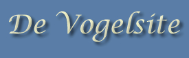 vogelsite.com